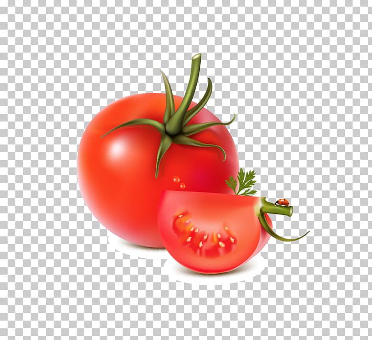 Vegetable Fruit Tomato PNG, Clipart, Bell Pepper, Bush Tomato, Cherry Tomato, Chili Pepper, Drawing Free PNG Download