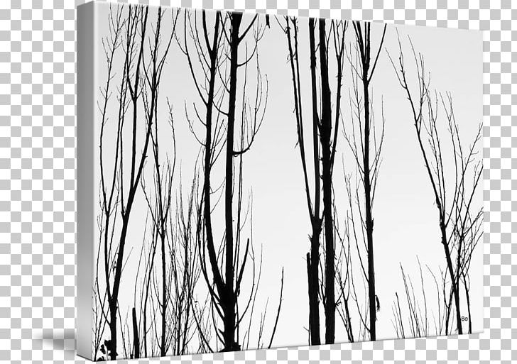 Wood /m/083vt White Branching PNG, Clipart, Black And White, Branch, Branching, M083vt, Monochrome Free PNG Download