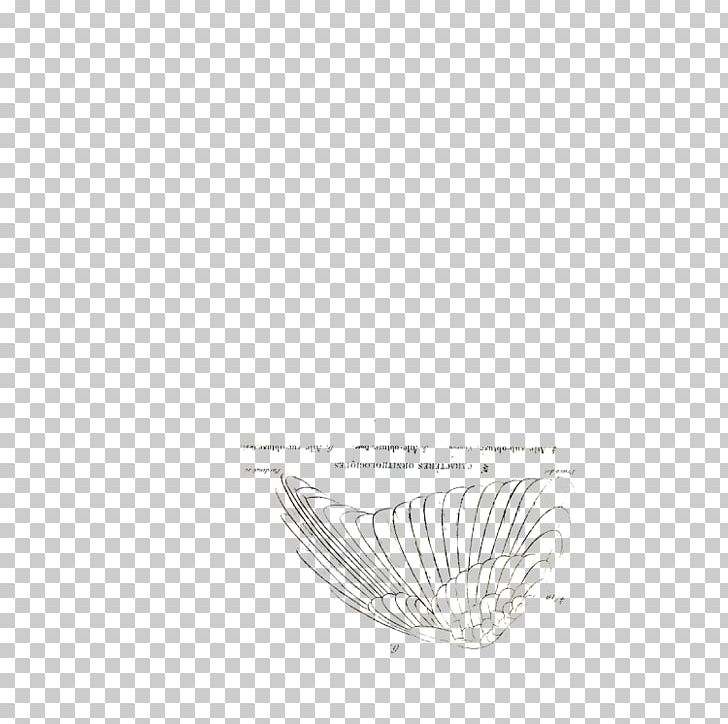 Feather White Drawing /m/02csf Font PNG, Clipart, Animals, Black, Black And White, Drawing, Feather Free PNG Download