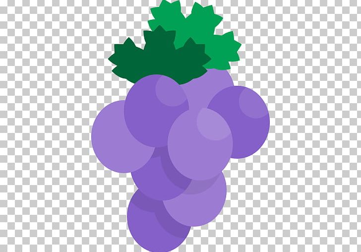 Grape Health Nutrition Wine Food PNG, Clipart, Chilean Wine, Circle, Computer Icons, Diet, Drink Free PNG Download