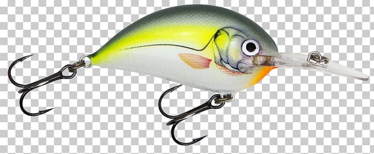 Plug Fishing Baits & Lures Common Roach Bass Worms PNG, Clipart, Angling, Bait, Bait Fish, Bass Worms, Beak Free PNG Download
