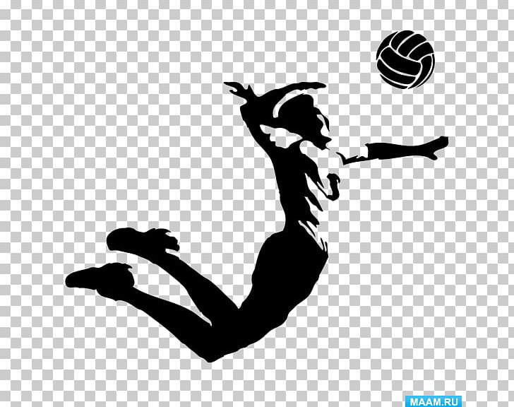 VC Zenit-Kazan Volleyball Sport VC Belogorie Tournament PNG, Clipart, Arm, Auto Racing, Black And White, Championship, Freestyle Wrestling Free PNG Download
