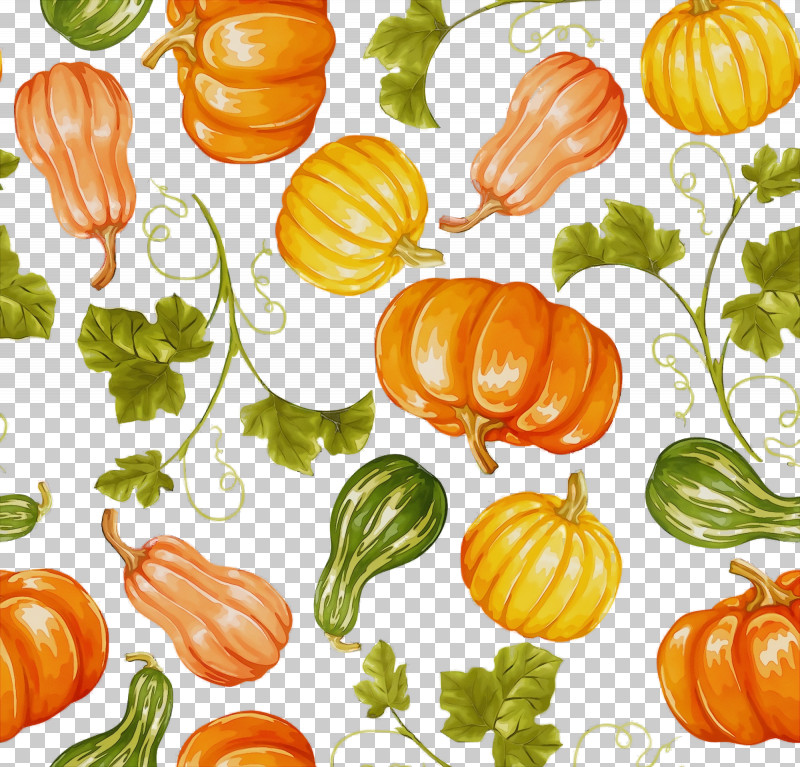 Squash Gourd Winter Squash Calabaza Natural Foods PNG, Clipart, Autumn, Calabaza, Commodity, Flower, Fruit Free PNG Download