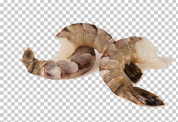Caridea Giant Tiger Prawn Shrimp Seafood PNG, Clipart, Animals, Animal Source Foods, Background Black, Black, Black Background Free PNG Download