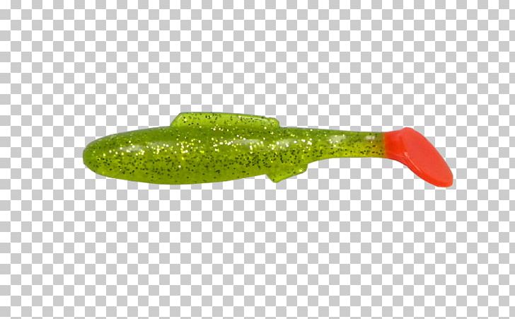 Pickled Cucumber PNG, Clipart, Cucumber, Cucumber Gourd And Melon Family, Gherkin, Pickled Cucumber, Redfish Free PNG Download