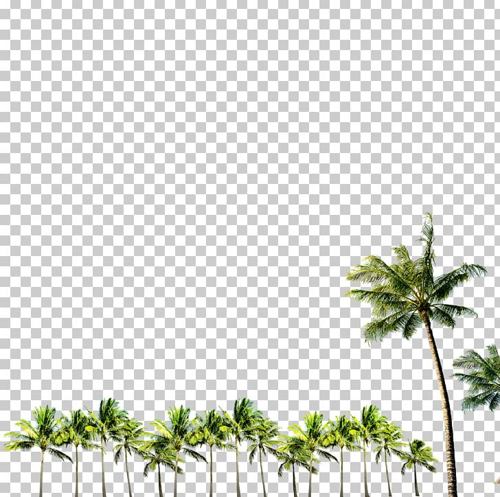 Agra Club Layers PNG, Clipart, Adobe Indesign, Agra, Area, Beach, Beach Material Free PNG Download
