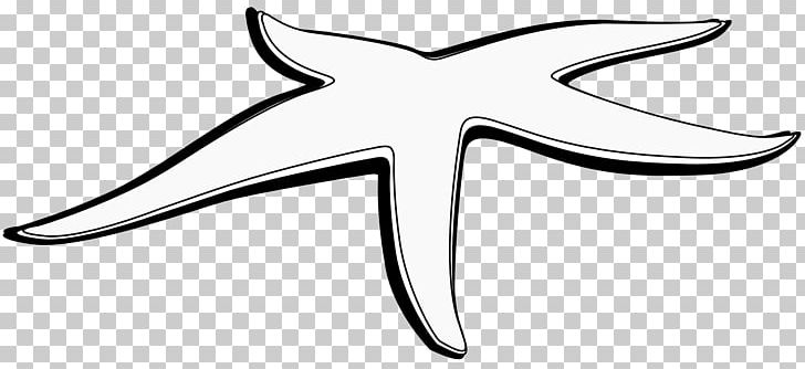 Starfish Black And White Giant Panda PNG, Clipart, Aquatic Animal, Artwork, Black And White, Body Jewelry, Clownfish Free PNG Download