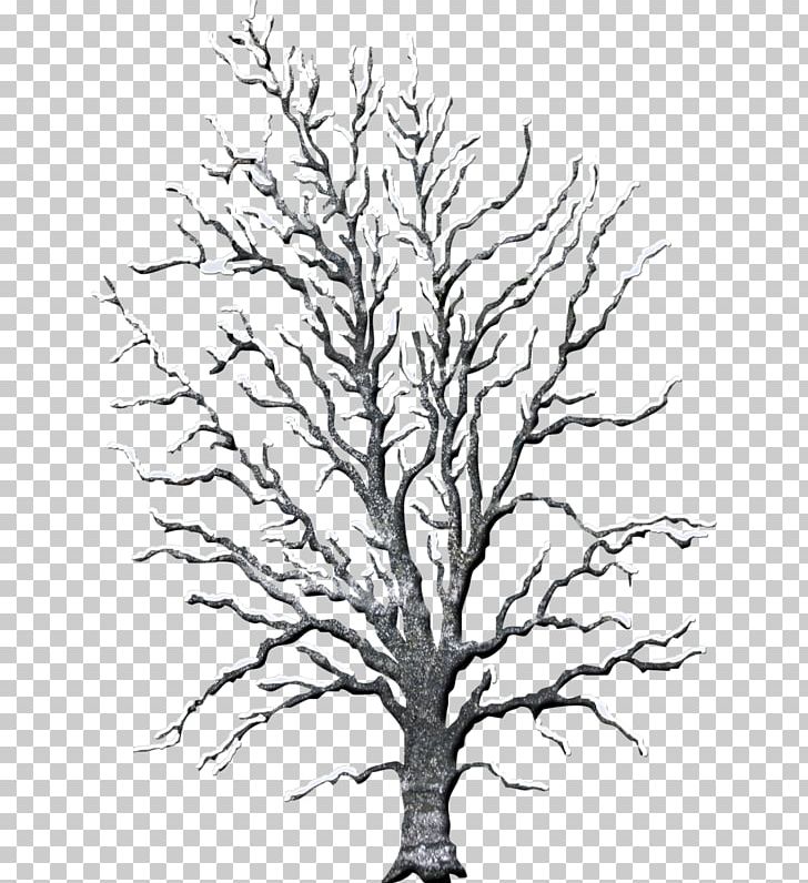 Twig Line Art Drawing PNG, Clipart, Artwork, Black And White, Branch, Christmas, Drawing Free PNG Download