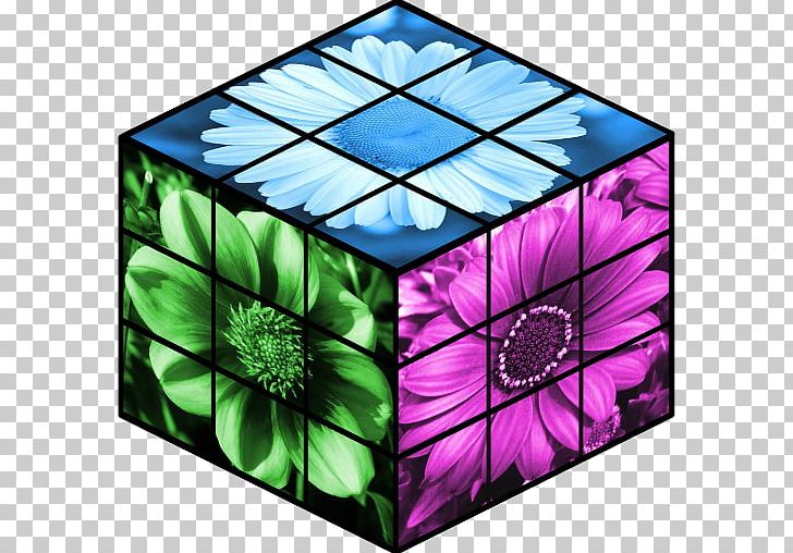 Window Symmetry Rectangle Pattern PNG, Clipart, Cube, Flower, Flowers, Furniture, Glass Free PNG Download