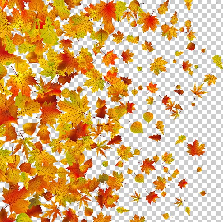 Withered Autumn Leaves PNG, Clipart, Autumn, Branch, Cartoon, Deciduous, Defoliation Free PNG Download