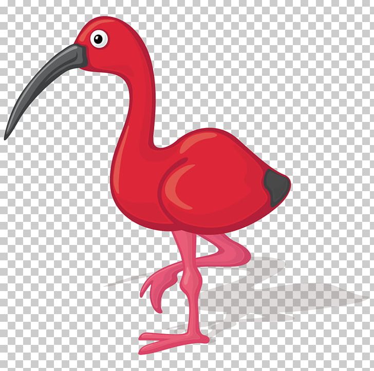 Bird Ibis Cartoon Illustration PNG, Clipart, Animal, Animals, Beak, Birds, Chicken Free PNG Download