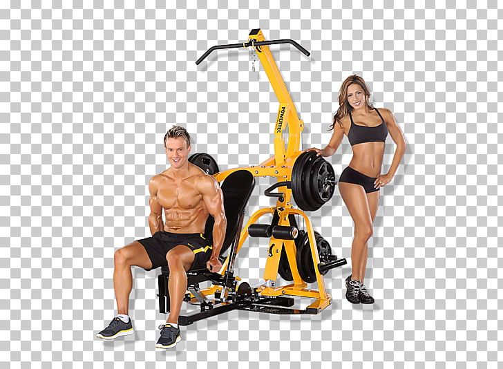 Exercise Equipment Exercise Machine Weight Loss Physical Fitness PNG, Clipart, Arm, Elliptical Trainer, Exercise, Exercise Equipment, Exercise Machine Free PNG Download