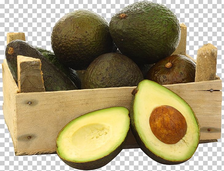 Guacamole Food Low-fat Diet Avocado PNG, Clipart, Alimento Saludable, Avocado, Carbohydrate, Clementine, Conserva Free PNG Download