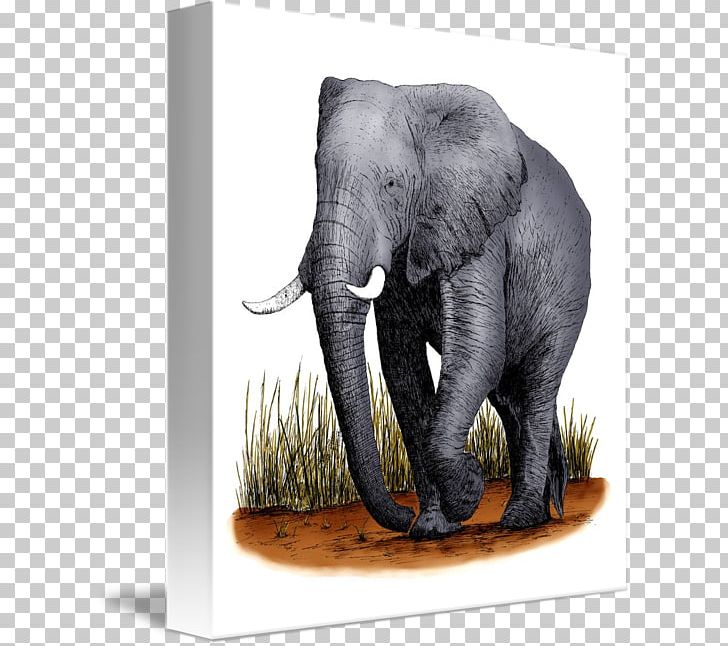 Indian Elephant African Bush Elephant African Forest Elephant Wildlife PNG, Clipart, African Bush Elephant, African Elephant, African Forest Elephant, Animal, Animals Free PNG Download
