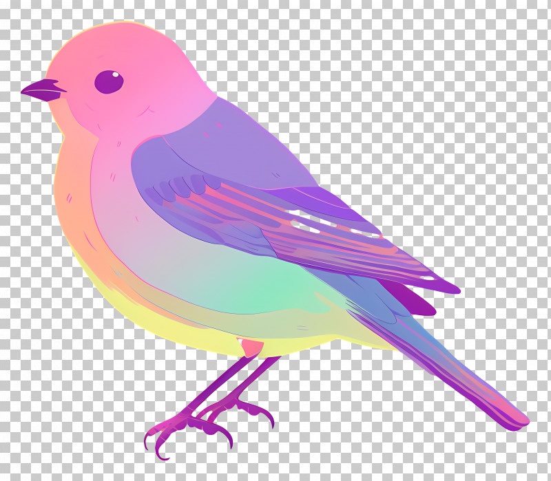 Colorful Bird - Colorful Bird Illustration PNG