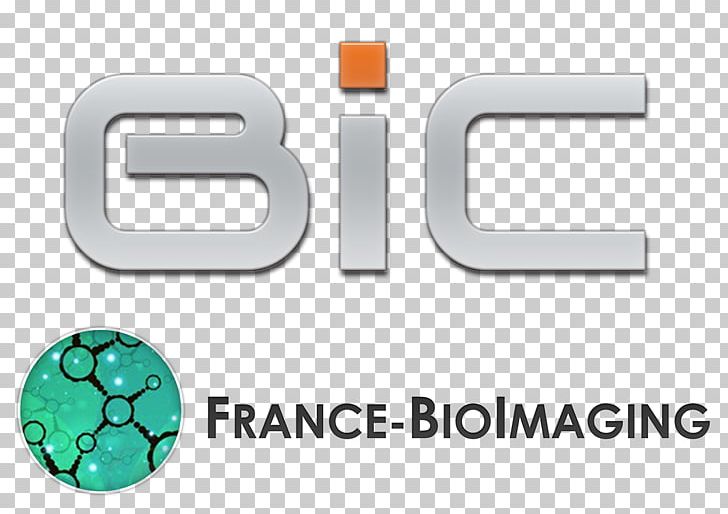 Biological Imaging Research Medical Imaging Curie Institute Neuroscience PNG, Clipart, Biological Imaging, Biology, Brand, Curie Institute, France Free PNG Download
