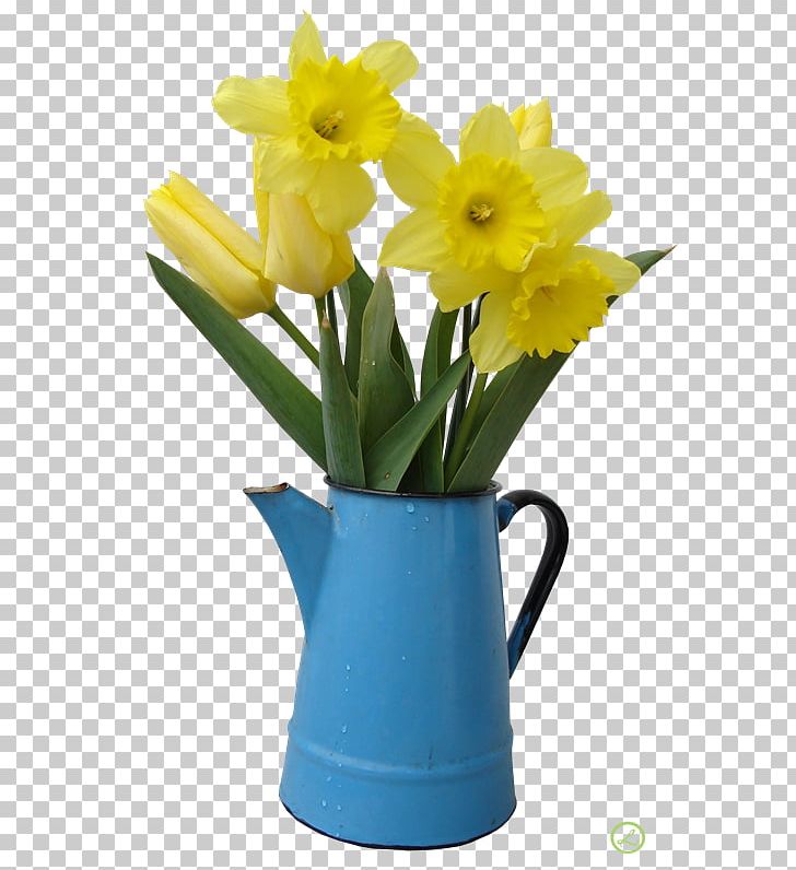 Daffodil Photography Flower PNG, Clipart, Amaryllis Family, Cut Flowers, Daffodil, Floristry, Flower Free PNG Download