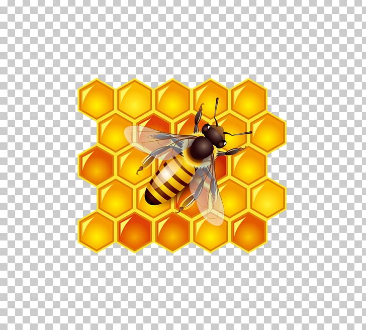 Honey Bee Honey Bee PNG, Clipart, Arthropod, Bee, Bees, Computer Wallpaper, Encapsulated Postscript Free PNG Download