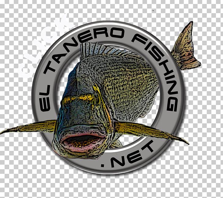 Blogger Comptoir Sanitaire Fishing Web Page PNG, Clipart, Animal, Badge, Blog, Blogger, Brand Free PNG Download