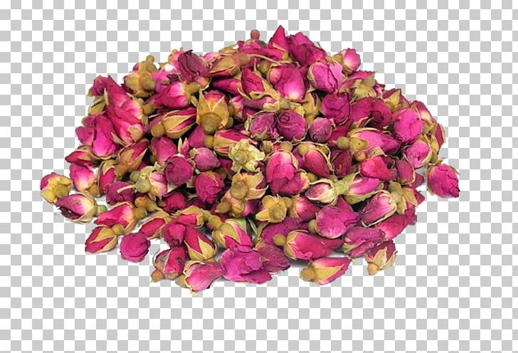 Flowering Tea Beach Rose Drying PNG, Clipart, Bud, Chinese Herbology, Cut Flowers, Dried, Flower Free PNG Download