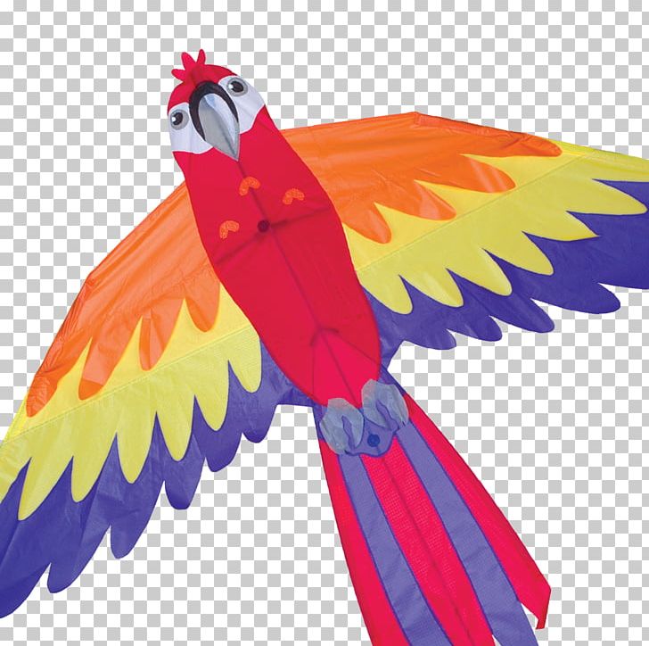 Parrot Bird Macaw Kite Line PNG, Clipart, Airplane, Animals, Beak, Bird, Box Kite Free PNG Download