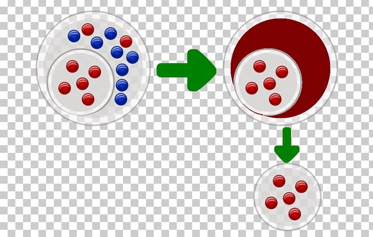 Population Bottleneck Mutation Photography Natural Selection PNG, Clipart, Aws Lambda, Biology, Bottleneck, Chromosome Abnormality, Evolution Free PNG Download