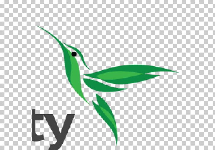 Aesthetics Logo Colibri Beauty Definition PNG, Clipart, Beak, Beauty Parlour, Bird, Clinic, Colibri Beauty Free PNG Download