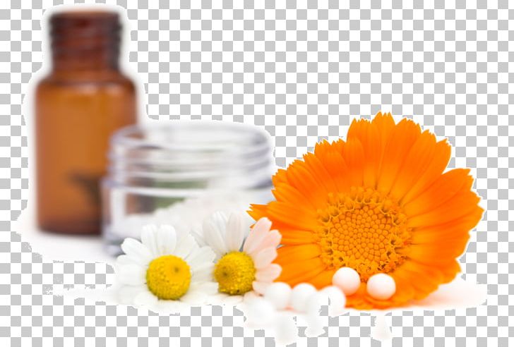 Bach Flower Remedies Homeopathy Medicine Therapy Alternative Health Services PNG, Clipart, Alternative Health Services, Ayurveda, Bach Flower Remedies, Calendula, Cure Free PNG Download