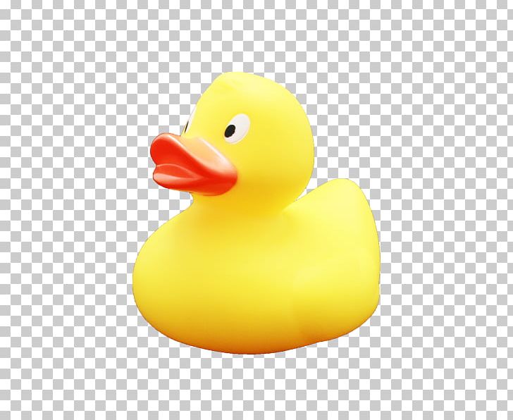 Duck Toy PNG, Clipart, Animals, Beak, Bird, Duck, Ducks Geese And Swans Free PNG Download