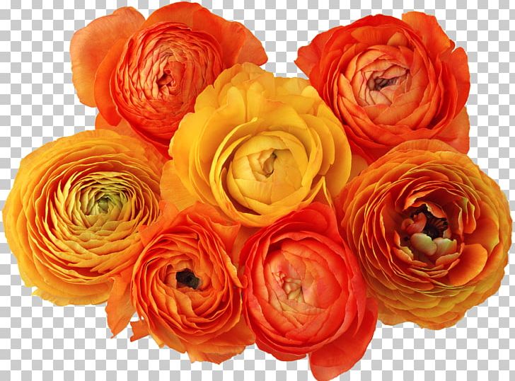 Flower Digital PNG, Clipart, Artificial Flower, Cut Flowers, Digital Image, Encapsulated Postscript, Floral Design Free PNG Download