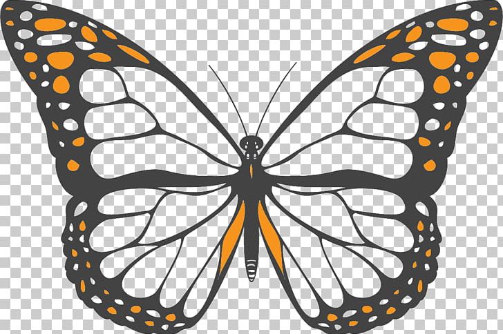 Monarch Butterfly Coloring Book Butterfly Net PNG, Clipart, Adult, Arthropod, Biological Life Cycle, Book, Brush Footed Butterfly Free PNG Download