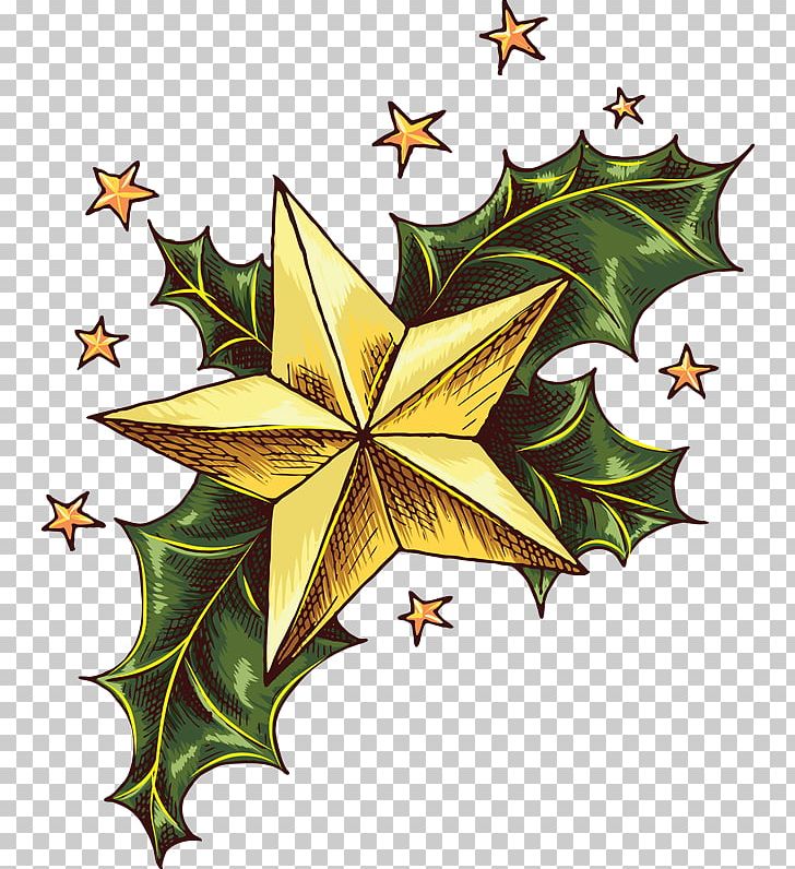 Christmas Tree Five-pointed Star Pentagram PNG, Clipart, Advent, Branch, Drawing, Fivepointed Star, Flora Free PNG Download