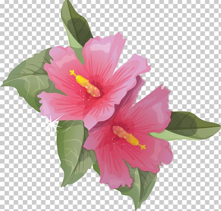 Hibiscus Animation Flower PNG, Clipart, Animation, Annual Plant, Cartoon,  Chinese Hibiscus, Clip Art Free PNG Download