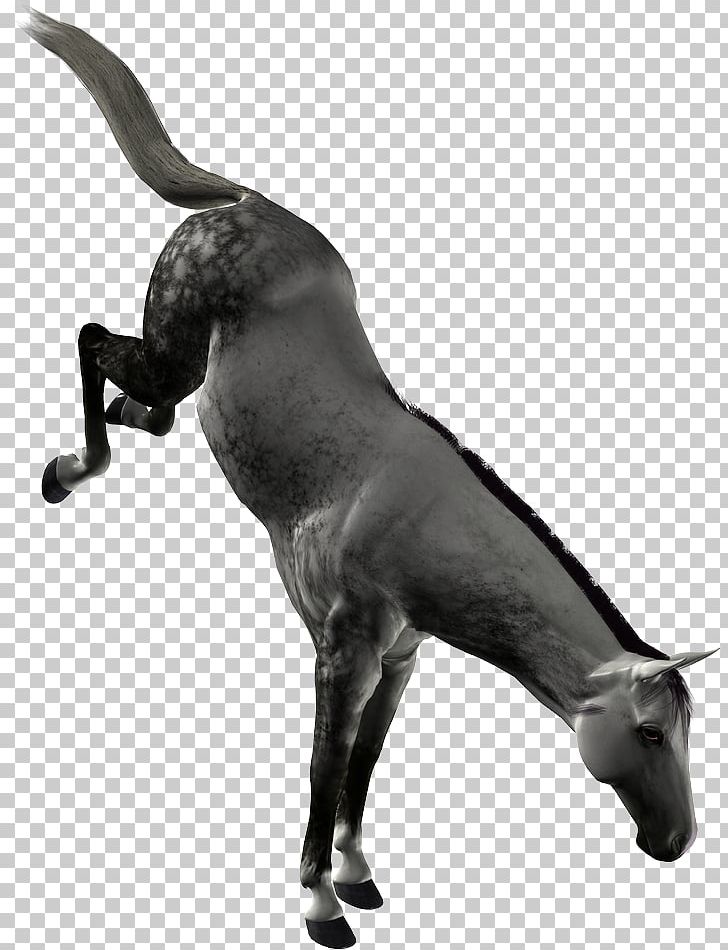 Mane Mustang Cattle Dog Pack Animal PNG, Clipart, Canidae, Cattle, Cattle Like Mammal, Dog, Dog Like Mammal Free PNG Download