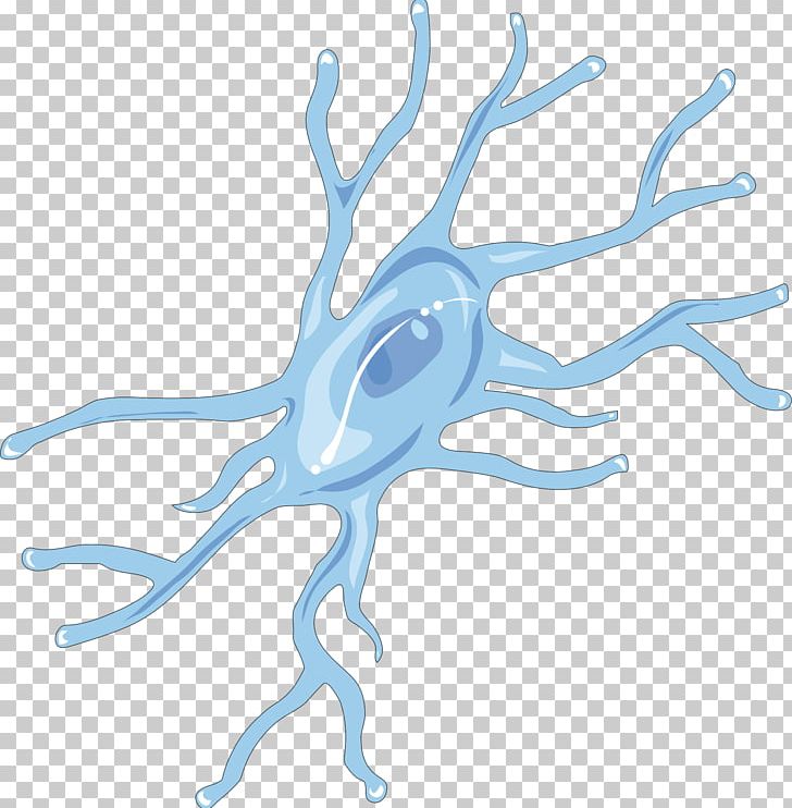 Microglia Brain Neuroglia Cell Remyelination PNG, Clipart, Agy, Brain, Branch, Cell, Central Nervous System Free PNG Download