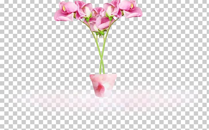 Moth Orchids Vase Cut Flowers Still Life Photography PNG, Clipart, Creation, Cut Flowers, Flower, Flowering Plant, Flowerpot Free PNG Download