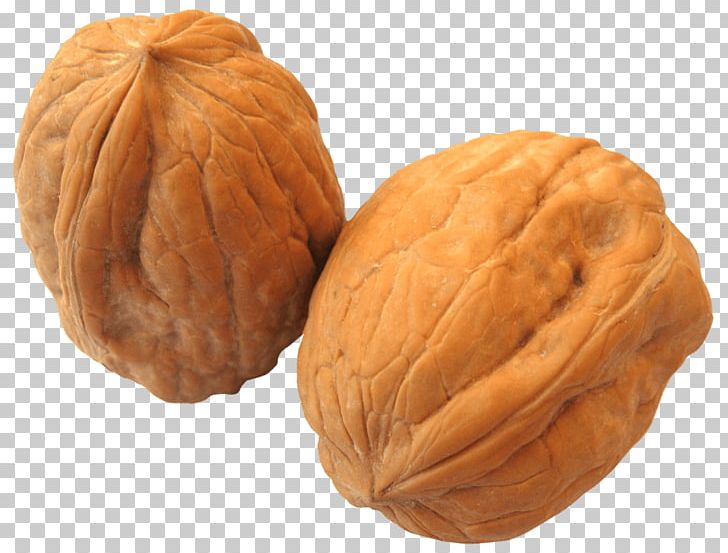 Portable Network Graphics English Walnut PNG, Clipart, Auglis, Cashew, English Walnut, Food, Fruit Free PNG Download