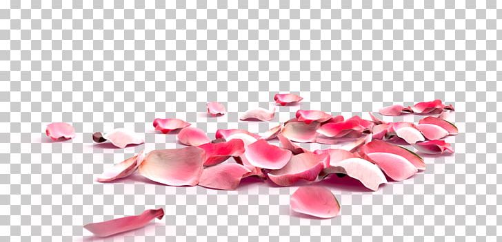 Rose Petal Nail Exfoliation Flower PNG, Clipart, Callus, Fall Decoration, Flowers, Foot, Gaming Free PNG Download