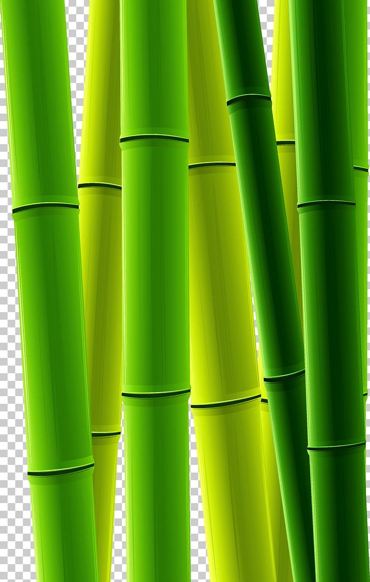 Bamboo Bamboe PNG, Clipart, Angle, Background Green, Bamboe, Bamboo, Bamboo Leaves Free PNG Download