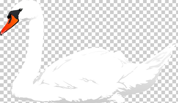Duck Mute Swan White PNG, Clipart, Animal, Animals, Animation, Background White, Beak Free PNG Download
