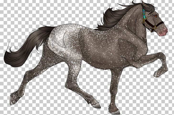 Mane Mustang Stallion Mare Pony PNG, Clipart, English Riding, Equestrian, Equestrian Sport, Halter, Horse Free PNG Download