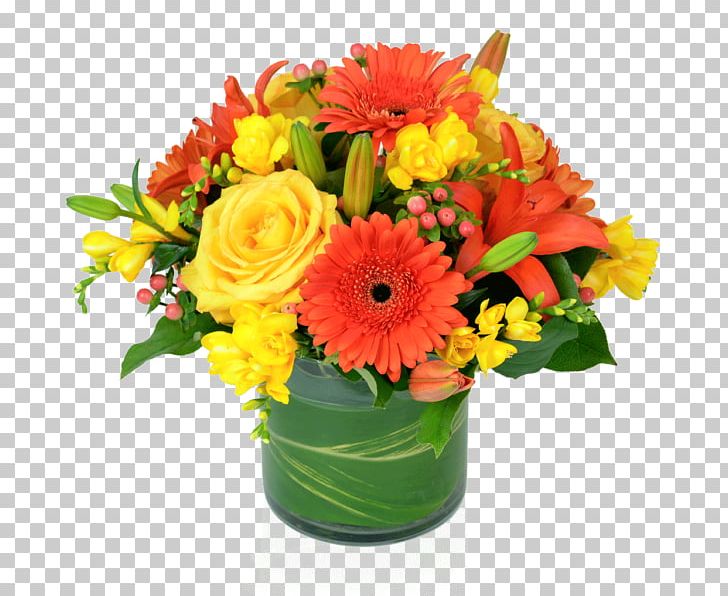 Transvaal Daisy Cut Flowers Flower Bouquet Floral Design PNG, Clipart, Birthday Splash, Blossom, Citrus, Common Daisy, Cut Flowers Free PNG Download