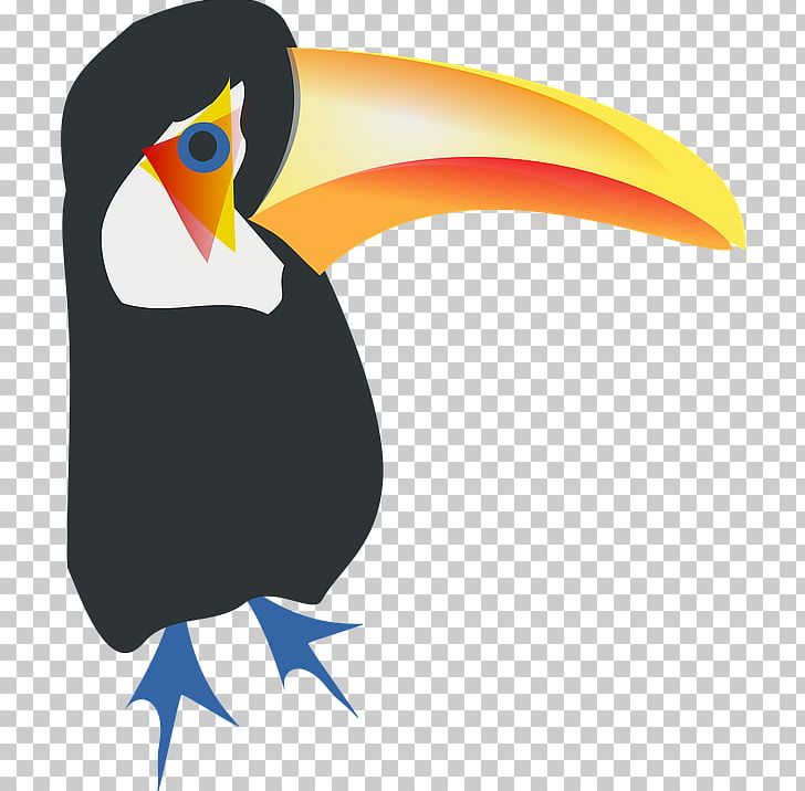 Bird Toco Toucan Parrot PNG, Clipart, Animals, Beak, Bird, Clip Art, Computer Icons Free PNG Download
