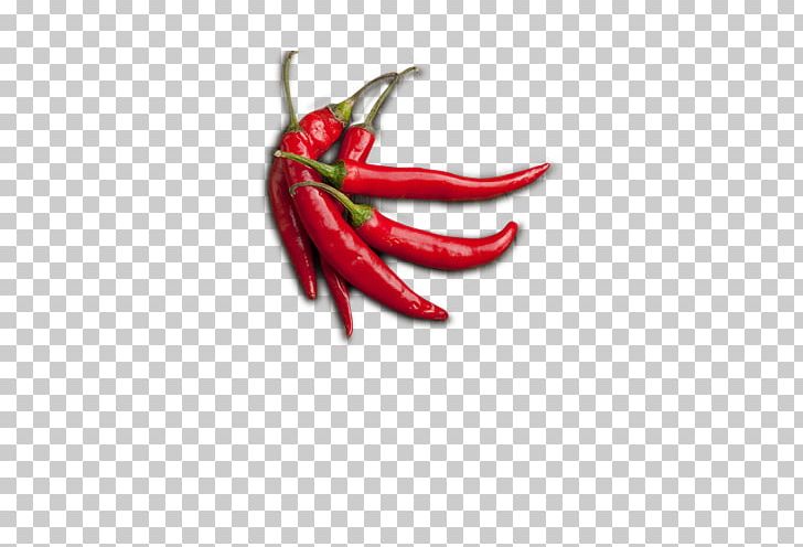 Chile De Xe1rbol Birds Eye Chili Cayenne Pepper Serrano Pepper Tabasco Pepper PNG, Clipart, Birds Eye Chili, Chili Pepper, Chili Powder, Clip, Facing Heaven Pepper Free PNG Download