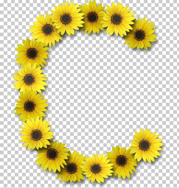 Common Sunflower Letter Case Alphabet G PNG, Clipart, Alphabet, Common Sunflower, Daisy Family, Dotted And Dotless I, Enchanted Parkway South Free PNG Download