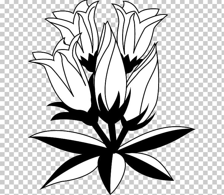 Gentiana Scabra Floral Design Drawing PNG, Clipart, Autumn, Black And White, Drawing, Flora, Floral Design Free PNG Download