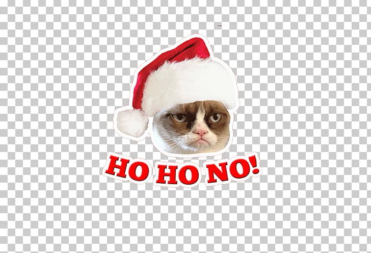 Grumpy Cat Whiskers Santa Claus Christmas Ornament PNG, Clipart, Animals, Black Country, Book, Carnivoran, Cat Free PNG Download
