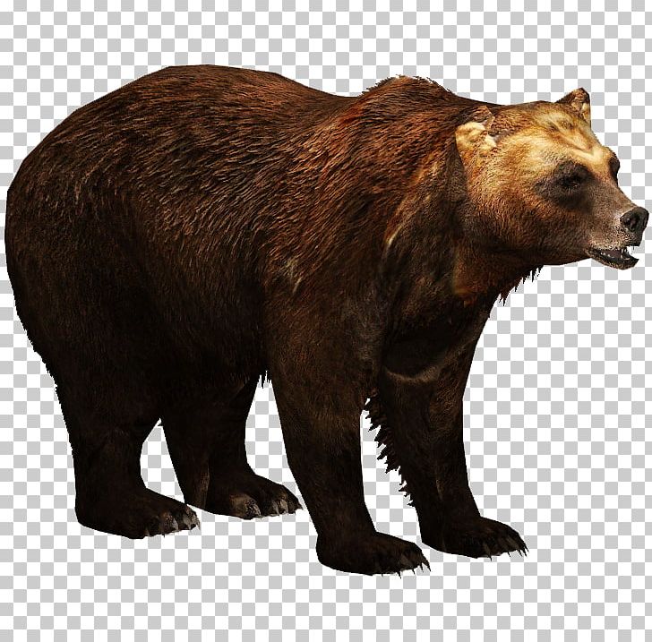 Zoo Tycoon 2 Kamchatka Brown Bear Ulquiorra Cifer Eurasian Brown Bear PNG, Clipart, American Black Bear, Animals, Bear, Brown Bear, Carnivora Free PNG Download