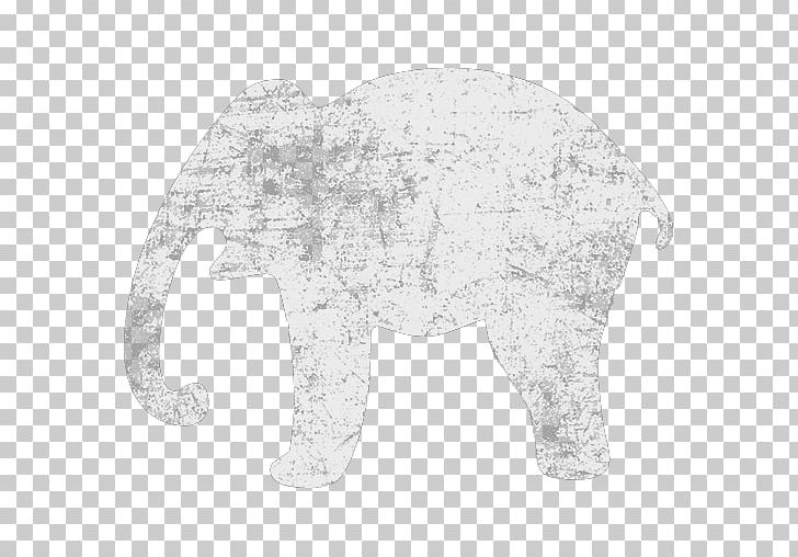 Indian Elephant African Elephant White PNG, Clipart, African Elephant, Animal, Black And White, Carnivora, Carnivoran Free PNG Download