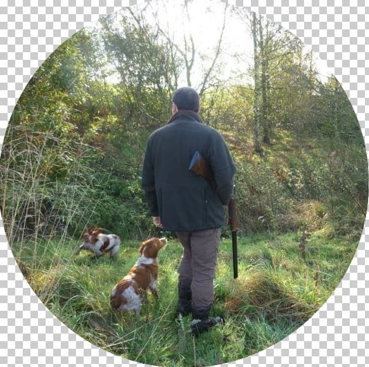Sport Burgie House Recreation Brodie Castle Hunting PNG, Clipart, Brodie Castle, Dog, Ecosystem, Fauna, Film Free PNG Download